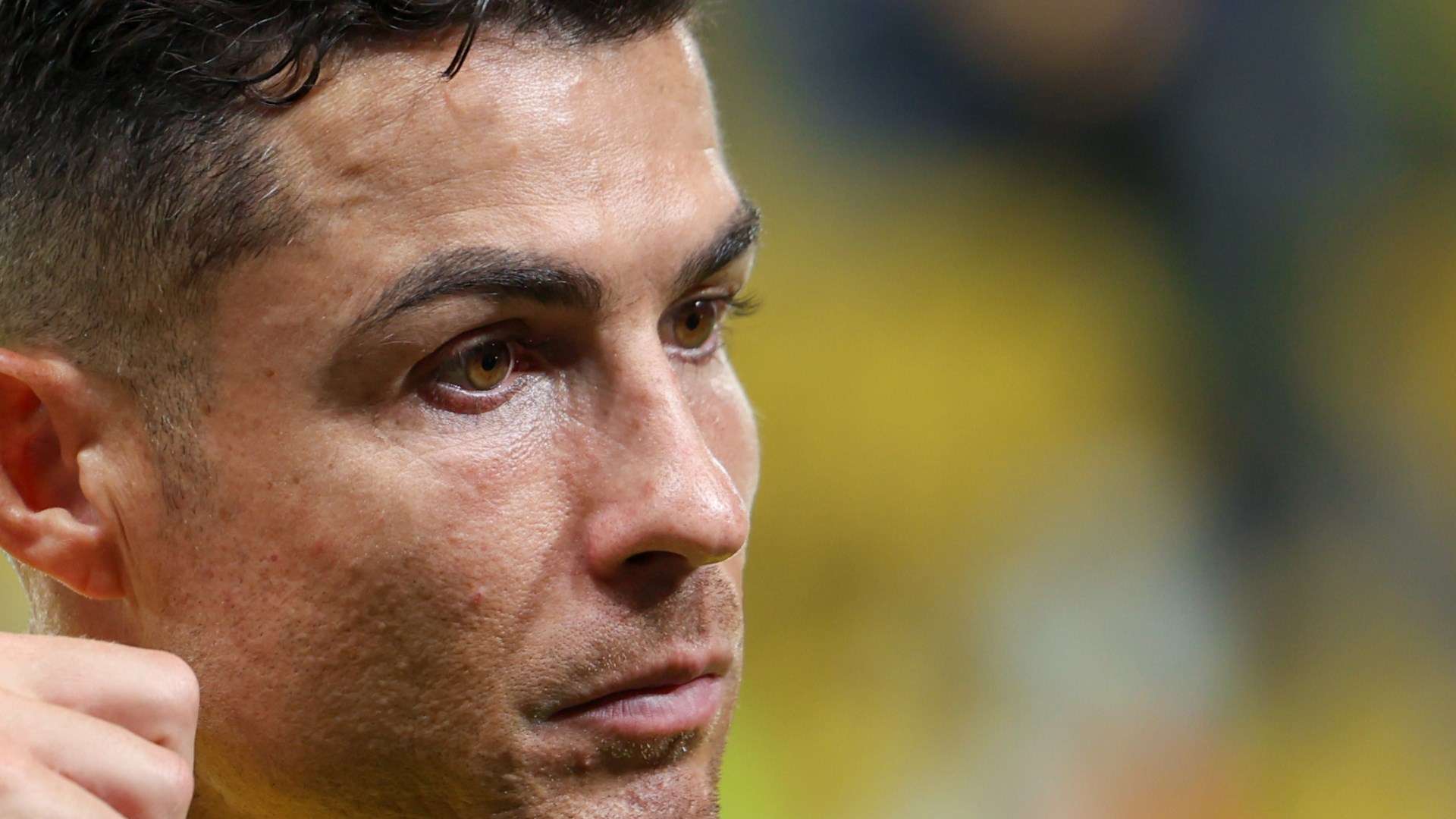 公开透明的 公开透明的